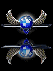 Emblème joueur